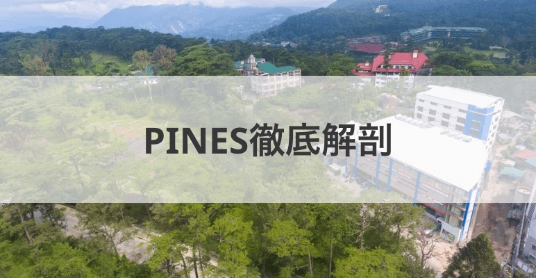 PINES INTERNATIONAL ACADEMYを徹底解剖！