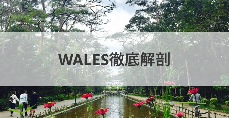 WALESを徹底解剖しちゃいます！！